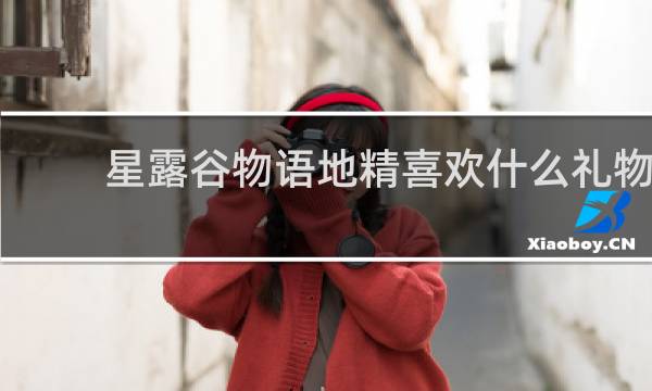 星露谷物语地精喜欢什么礼物