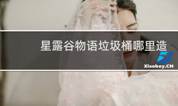 星露谷物语垃圾桶哪里造