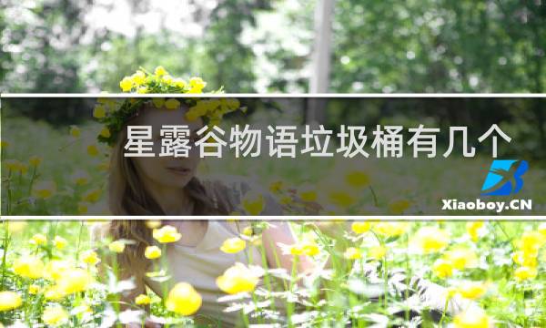 星露谷物语垃圾桶有几个