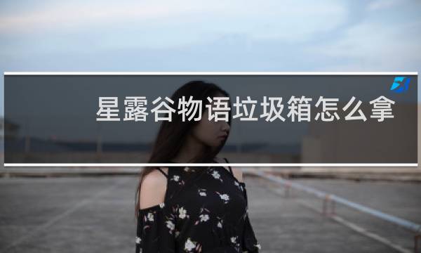 星露谷物语垃圾箱怎么拿