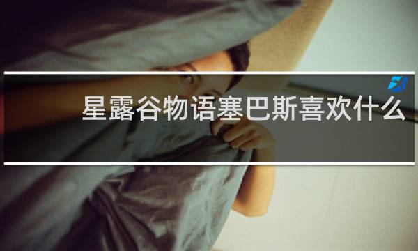 星露谷物语塞巴斯喜欢什么