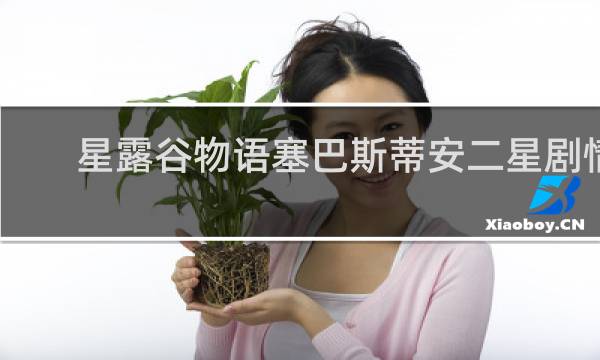 星露谷物语塞巴斯蒂安二星剧情