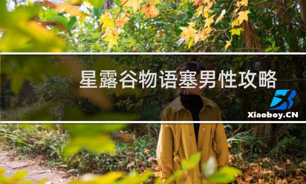 星露谷物语塞男性攻略
