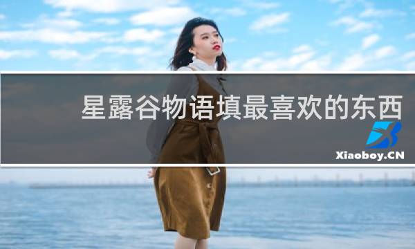 星露谷物语填最喜欢的东西