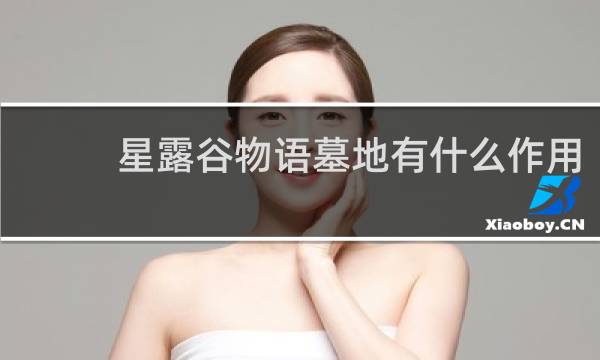 星露谷物语墓地有什么作用