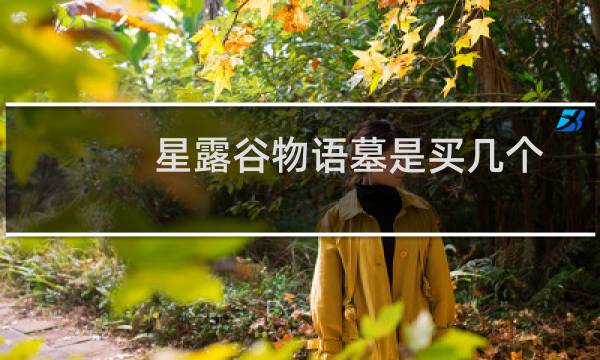 星露谷物语墓是买几个