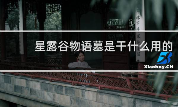 星露谷物语墓是干什么用的