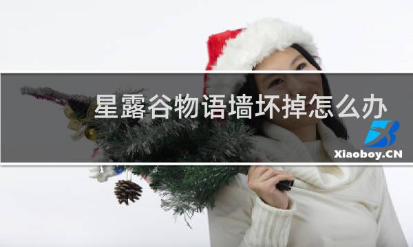 星露谷物语墙坏掉怎么办