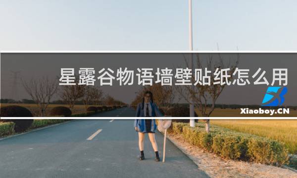 星露谷物语墙壁贴纸怎么用