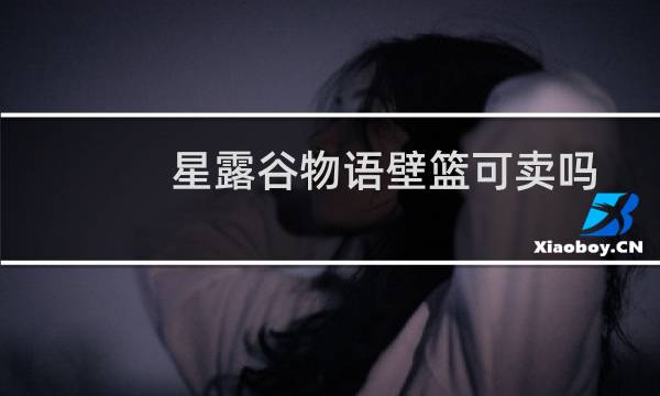 星露谷物语壁篮可卖吗