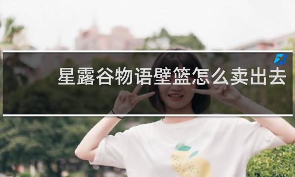 星露谷物语壁篮怎么卖出去