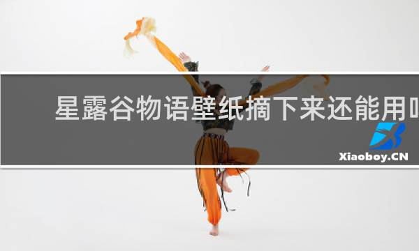 星露谷物语壁纸摘下来还能用吗