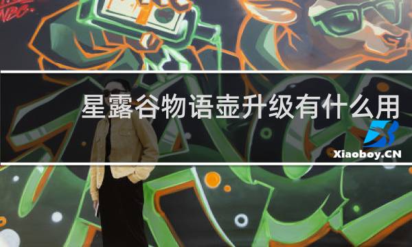 星露谷物语壶升级有什么用