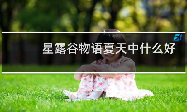 星露谷物语夏天中什么好