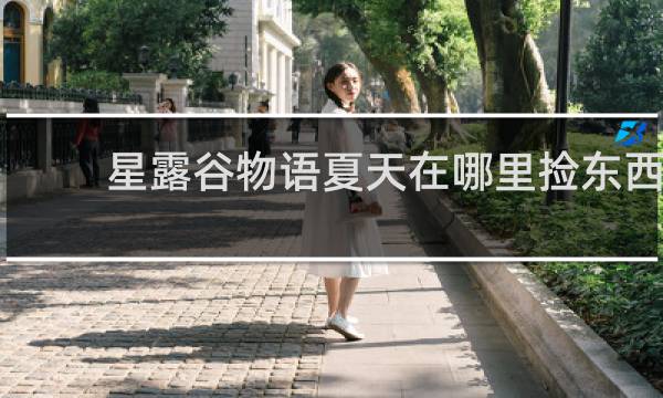 星露谷物语夏天在哪里捡东西