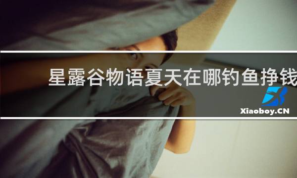 星露谷物语夏天在哪钓鱼挣钱
