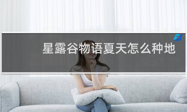 星露谷物语夏天怎么种地