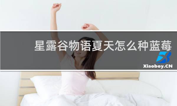星露谷物语夏天怎么种蓝莓