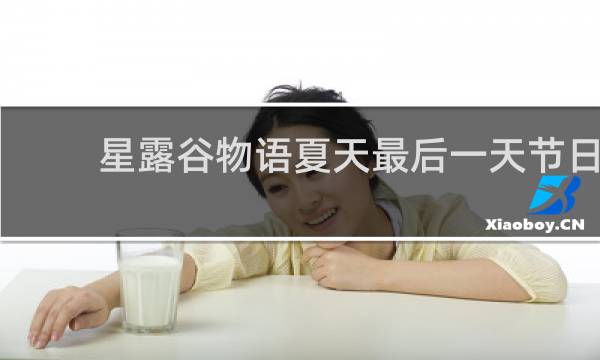 星露谷物语夏天最后一天节日