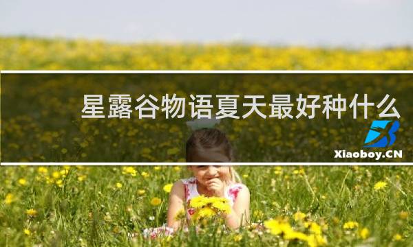 星露谷物语夏天最好种什么