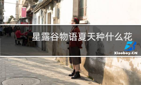 星露谷物语夏天种什么花