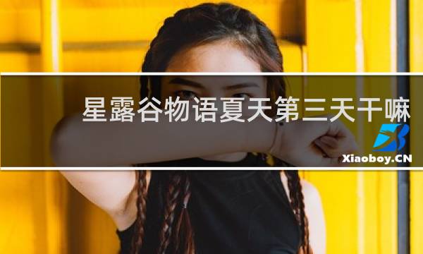 星露谷物语夏天第三天干嘛