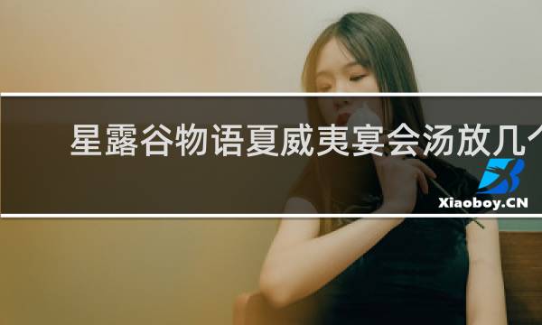 星露谷物语夏威夷宴会汤放几个