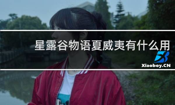 星露谷物语夏威夷有什么用