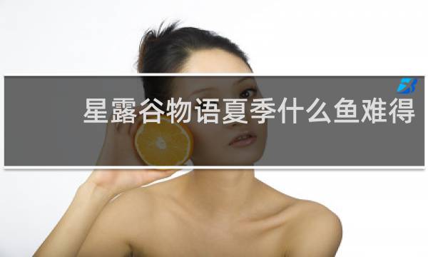 星露谷物语夏季什么鱼难得