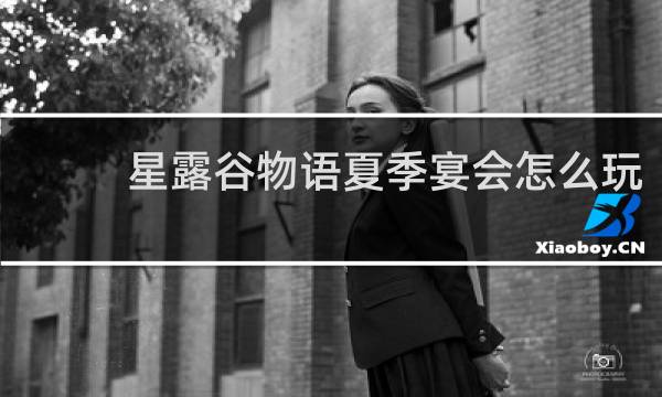 星露谷物语夏季宴会怎么玩