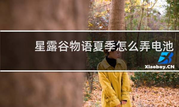 星露谷物语夏季怎么弄电池