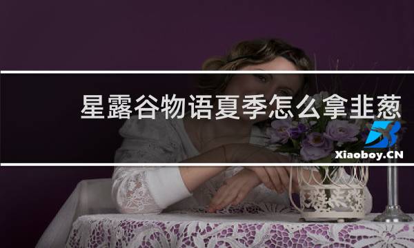 星露谷物语夏季怎么拿韭葱