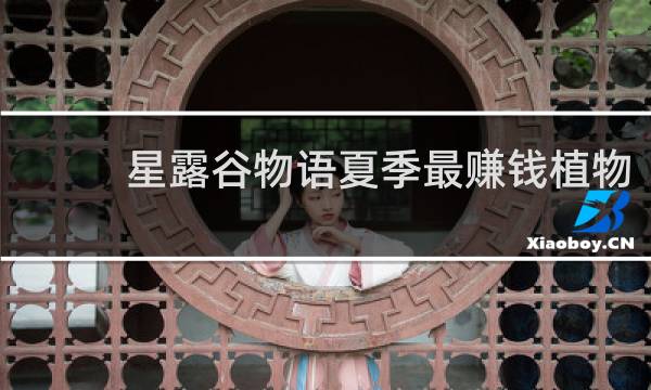 星露谷物语夏季最赚钱植物