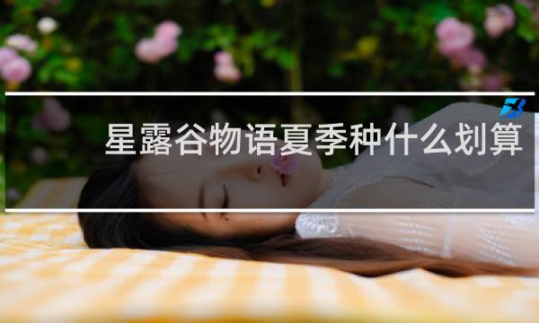 星露谷物语夏季种什么划算