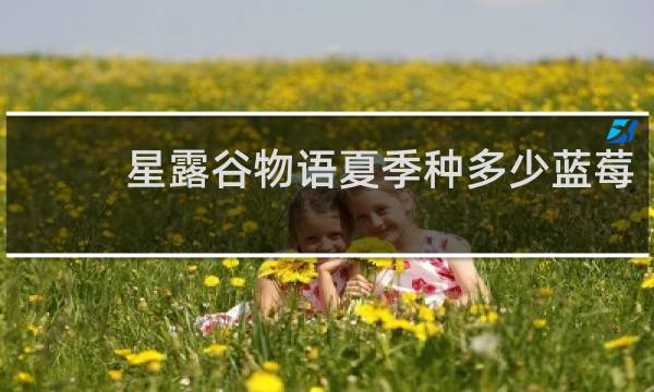 星露谷物语夏季种多少蓝莓