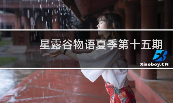 星露谷物语夏季第十五期