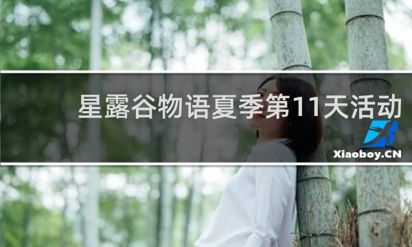 星露谷物语夏季第11天活动