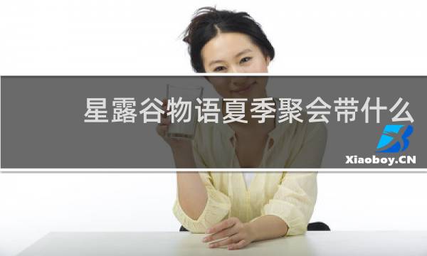 星露谷物语夏季聚会带什么