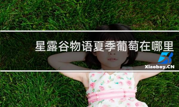 星露谷物语夏季葡萄在哪里