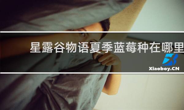 星露谷物语夏季蓝莓种在哪里