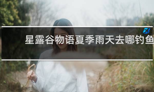 星露谷物语夏季雨天去哪钓鱼