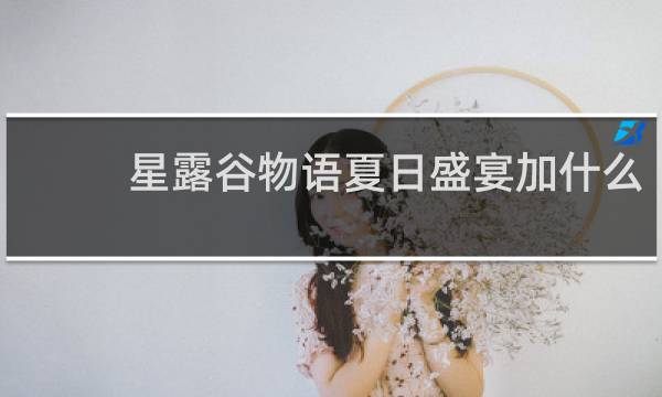 星露谷物语夏日盛宴加什么