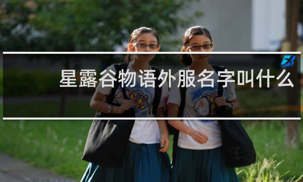 星露谷物语外服名字叫什么