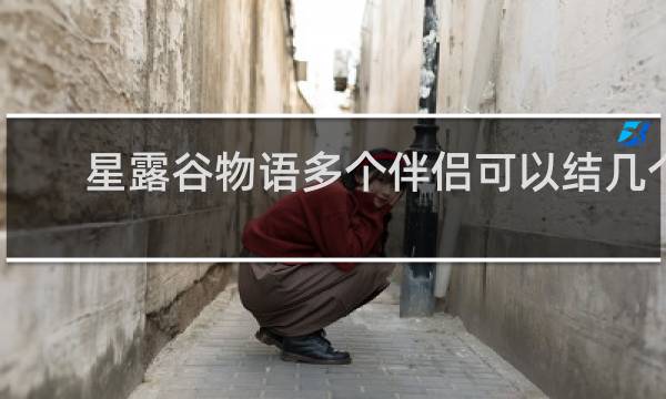 星露谷物语多个伴侣可以结几个