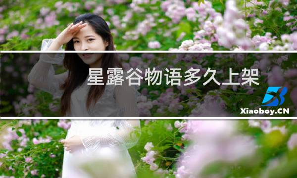 星露谷物语多久上架