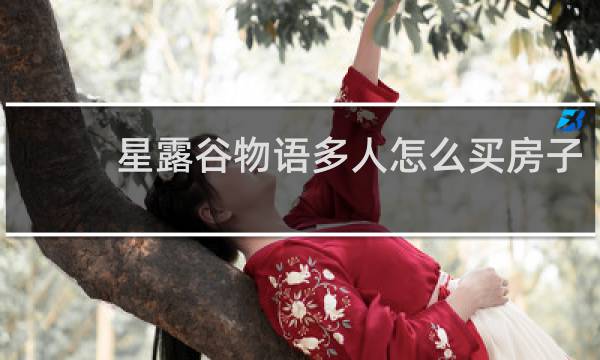 星露谷物语多人怎么买房子