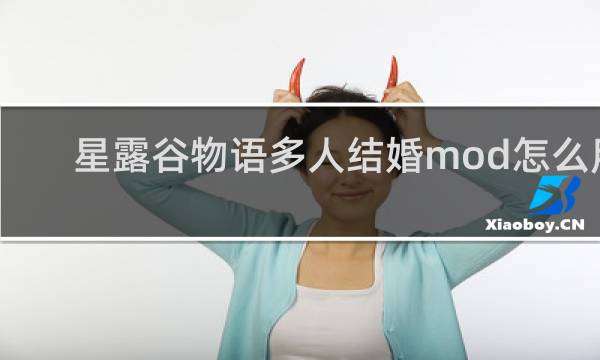 星露谷物语多人结婚mod怎么用