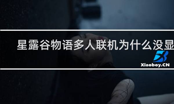 星露谷物语多人联机为什么没显示