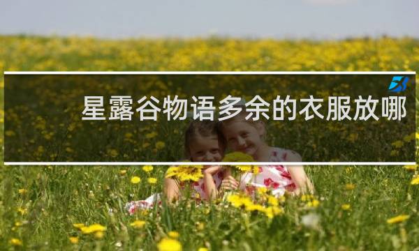 星露谷物语多余的衣服放哪