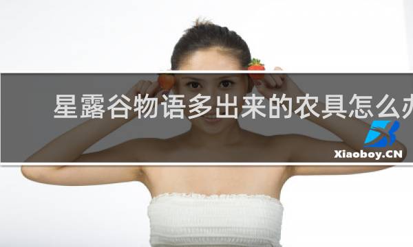 星露谷物语多出来的农具怎么办